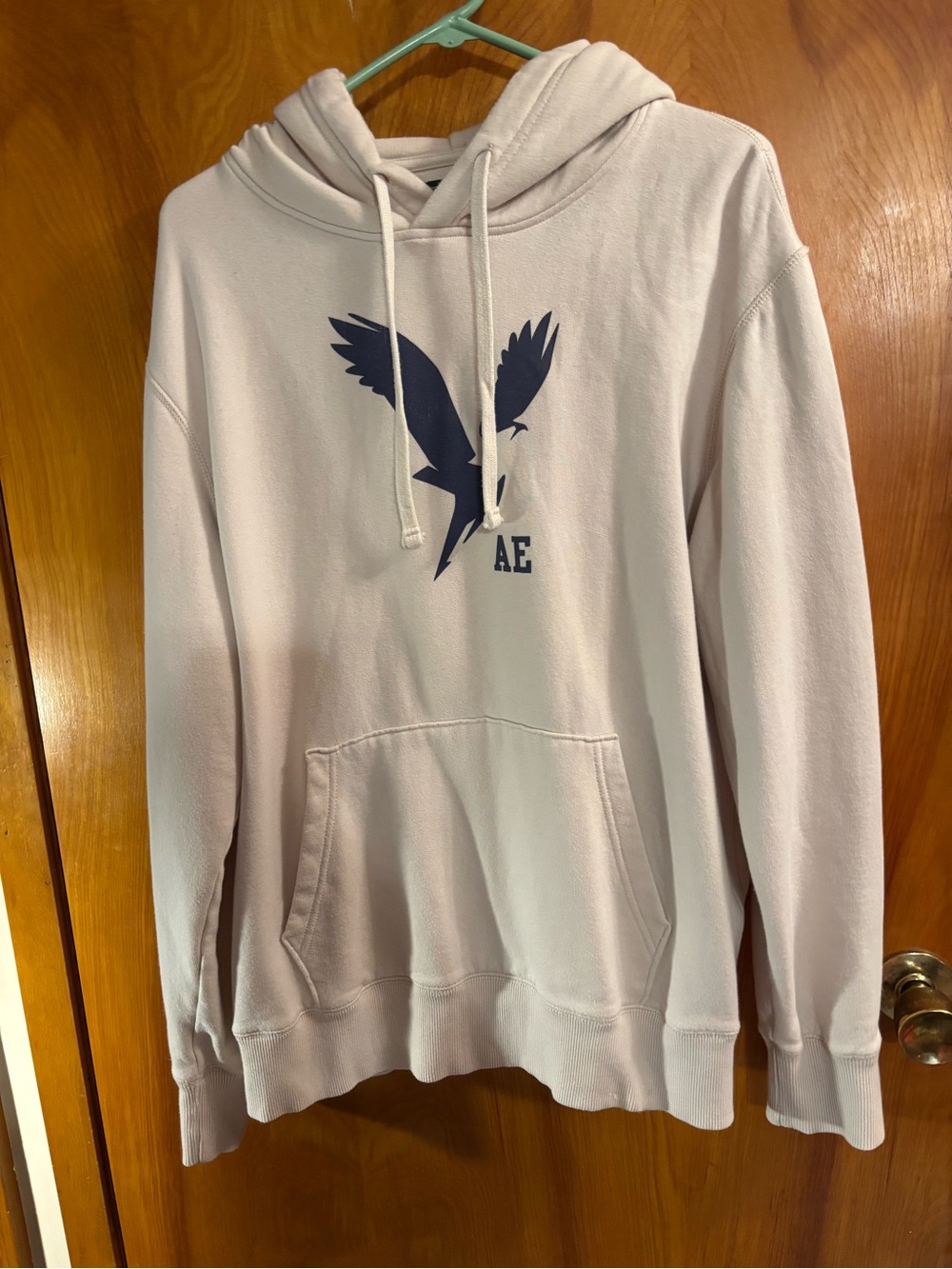 American Eagle Outfitters Beige Hoodie with Dark Green Label